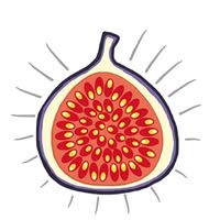 The Fig Tree Cafe logo