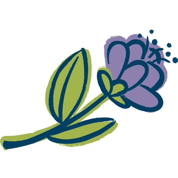 Khal Amazi Ltd logo