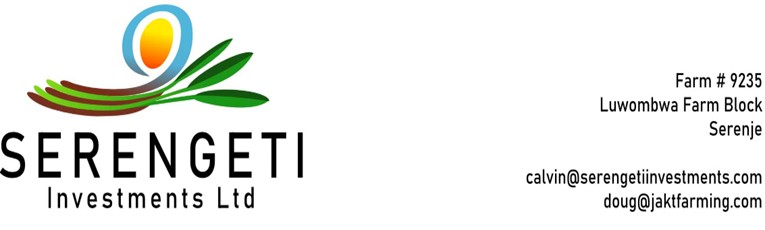 Serengeti Investments logo